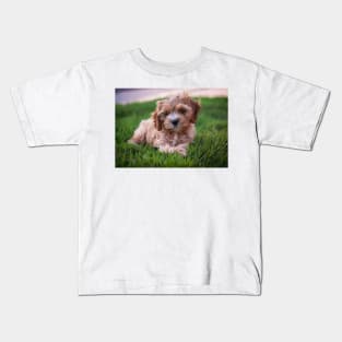 Cute Cavapoo Kids T-Shirt